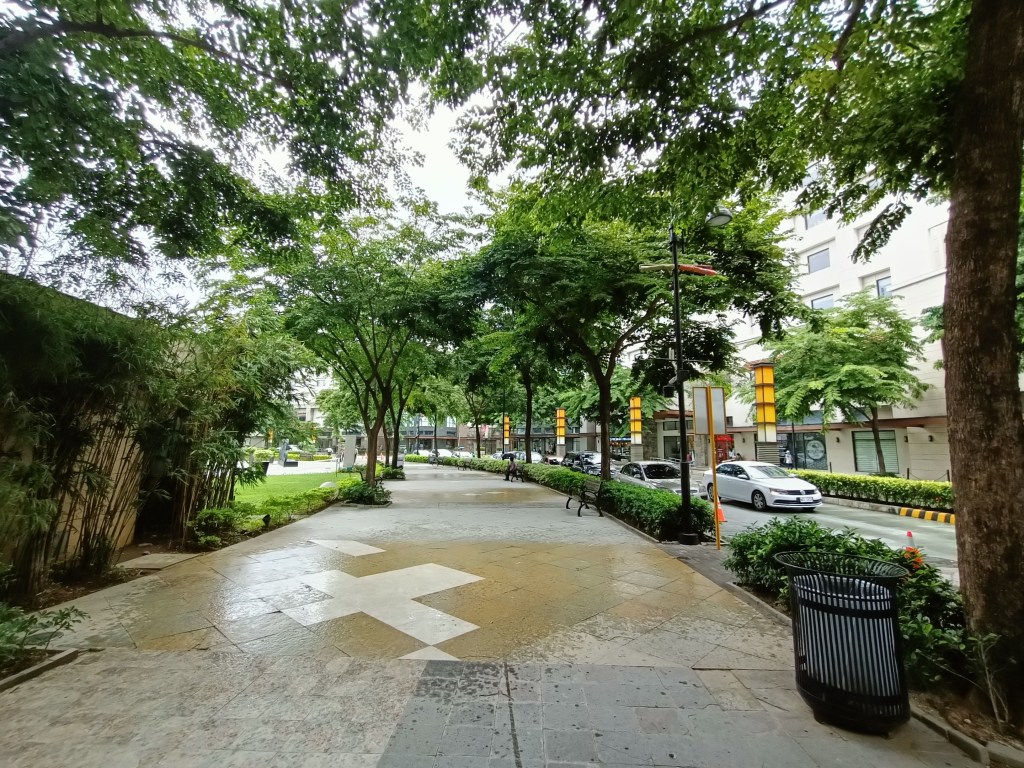tree walk
