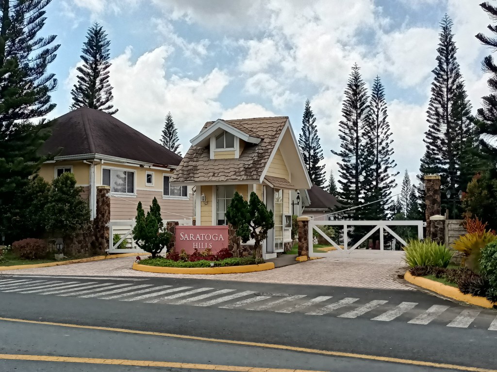 saratoga hills