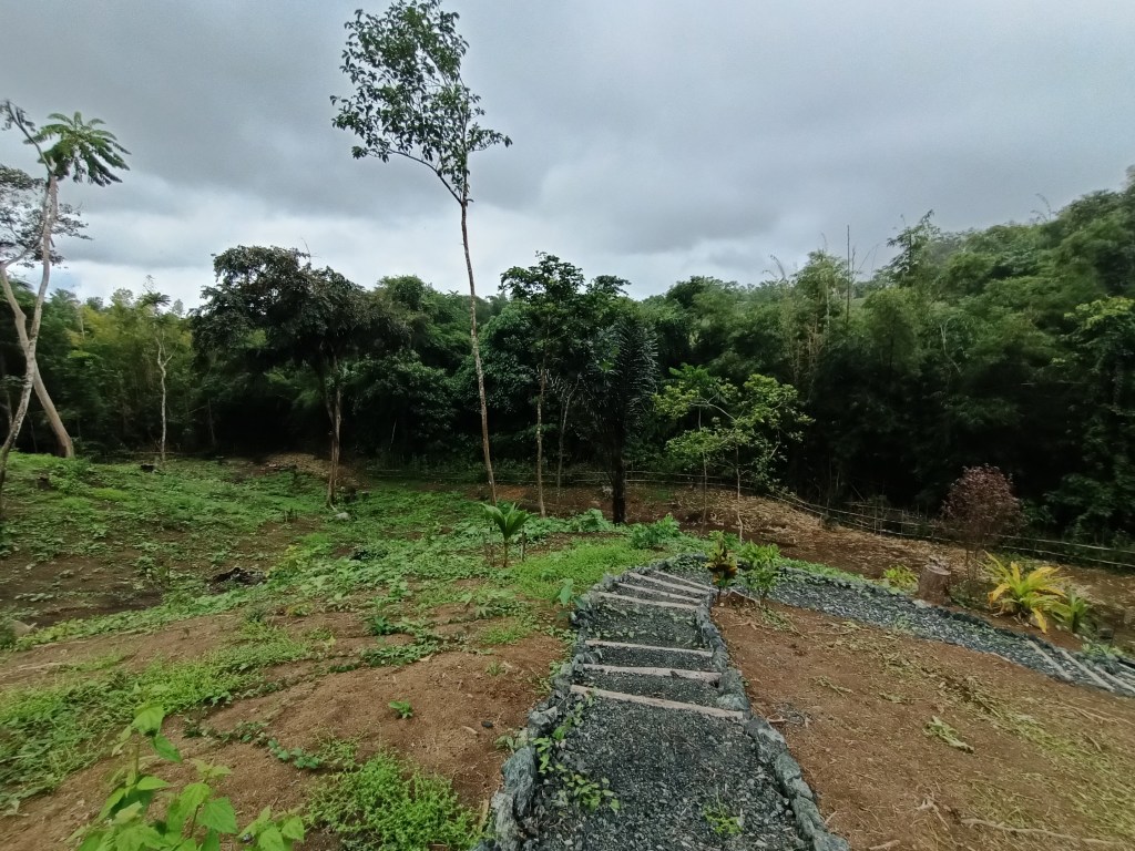 laguna farm for sale