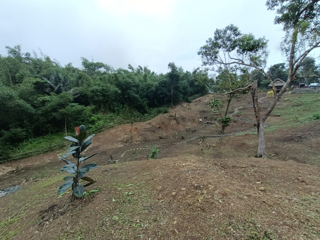 farm for sale