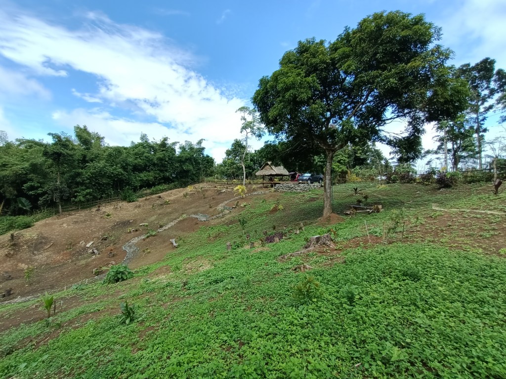 hilltop